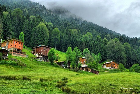 Doğu Karadeniz & Yaylalar Turu 3 Gün 2 Gece